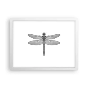 Poster în ramă albă - Precizia naturii - 40x30 cm