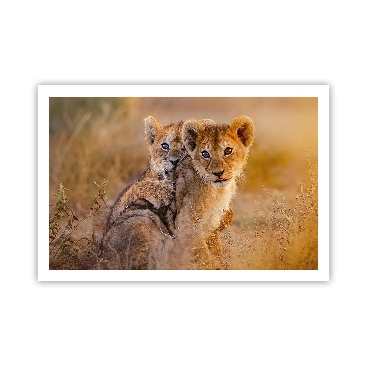 Poster - Nu deranjați! Ne distrăm - 91x61 cm