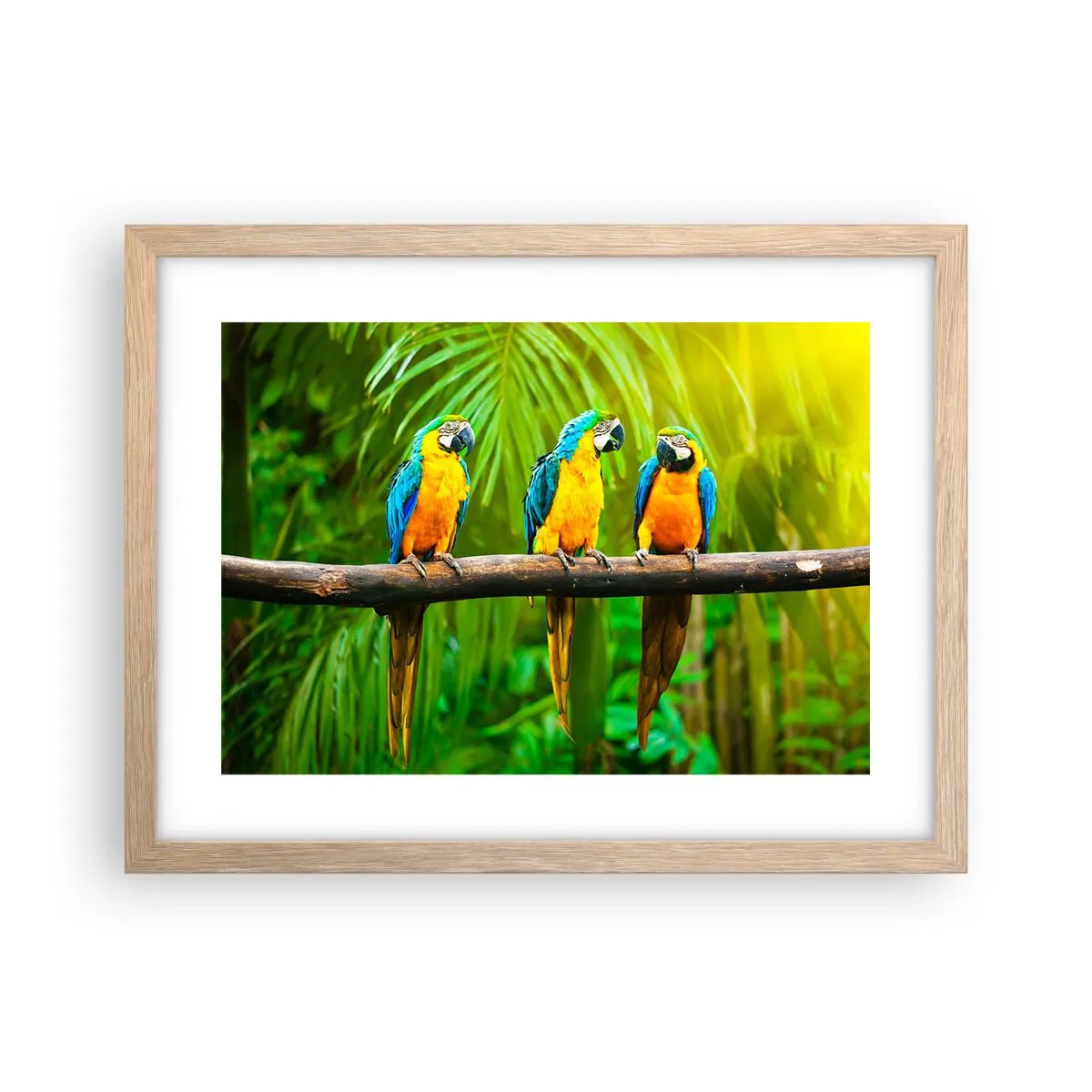 Poster în ramă de stejar deschis - Și ai auzit că ea...? - 40x30 cm