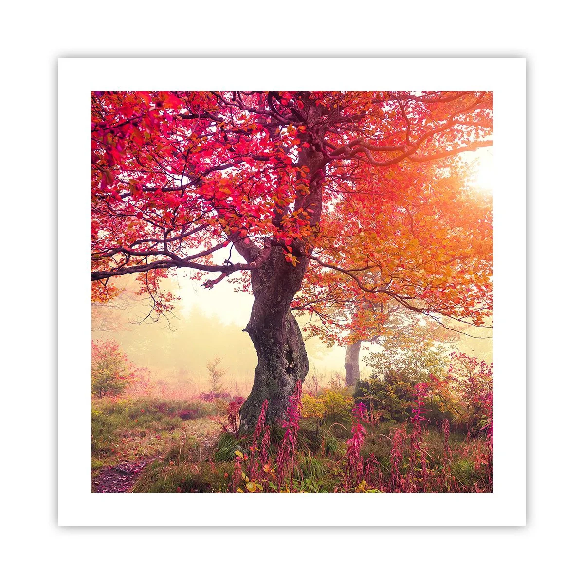 Poster - O frenezie de înflorire - 50x50 cm
