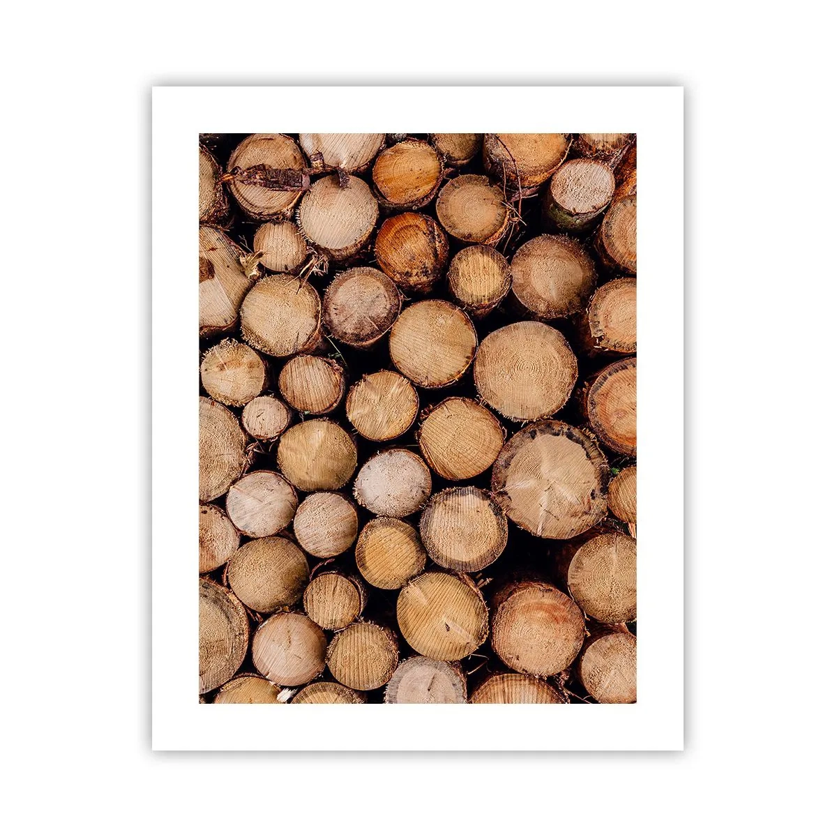 Poster - Un nou început - 40x50 cm