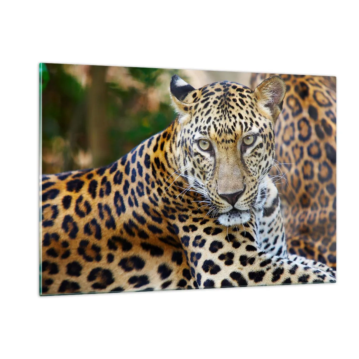 Tablou pe sticlă - Sălbatic și liniștit - 120x80 cm