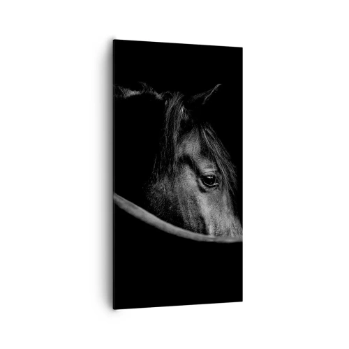 Tablou pe pânză - Prințul negru - 65x120 cm