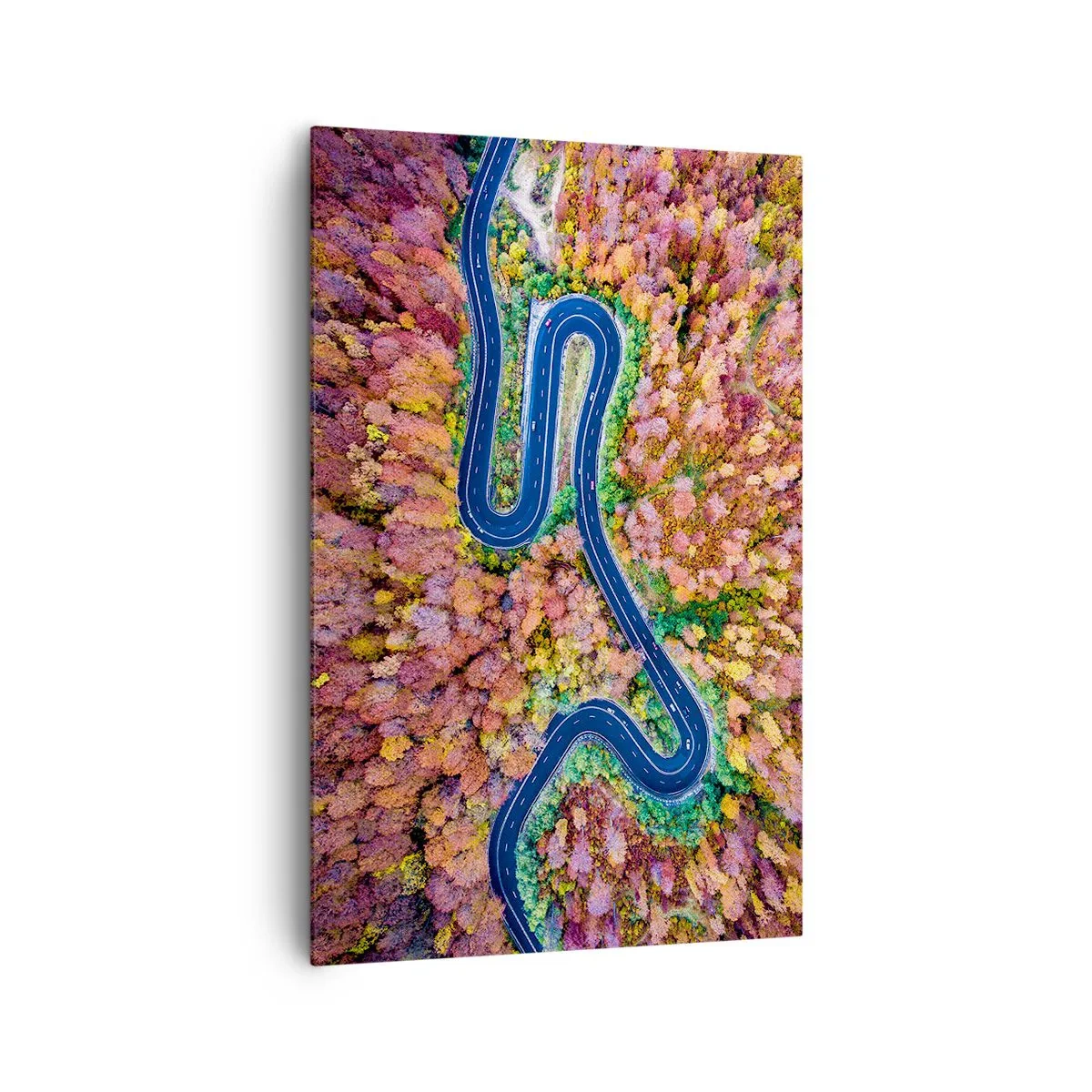 Tablou pe pânză - Un drum șerpuit prin pădure - 80x120 cm