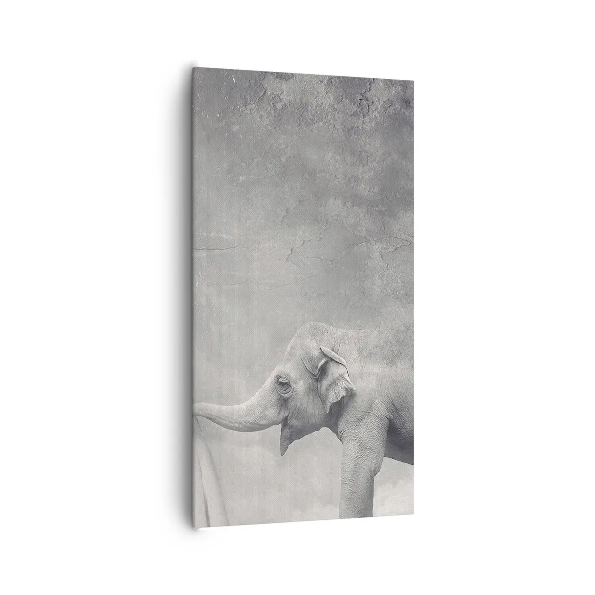 Tablou pe pânză - Dezvăluirea misterului - 65x120 cm