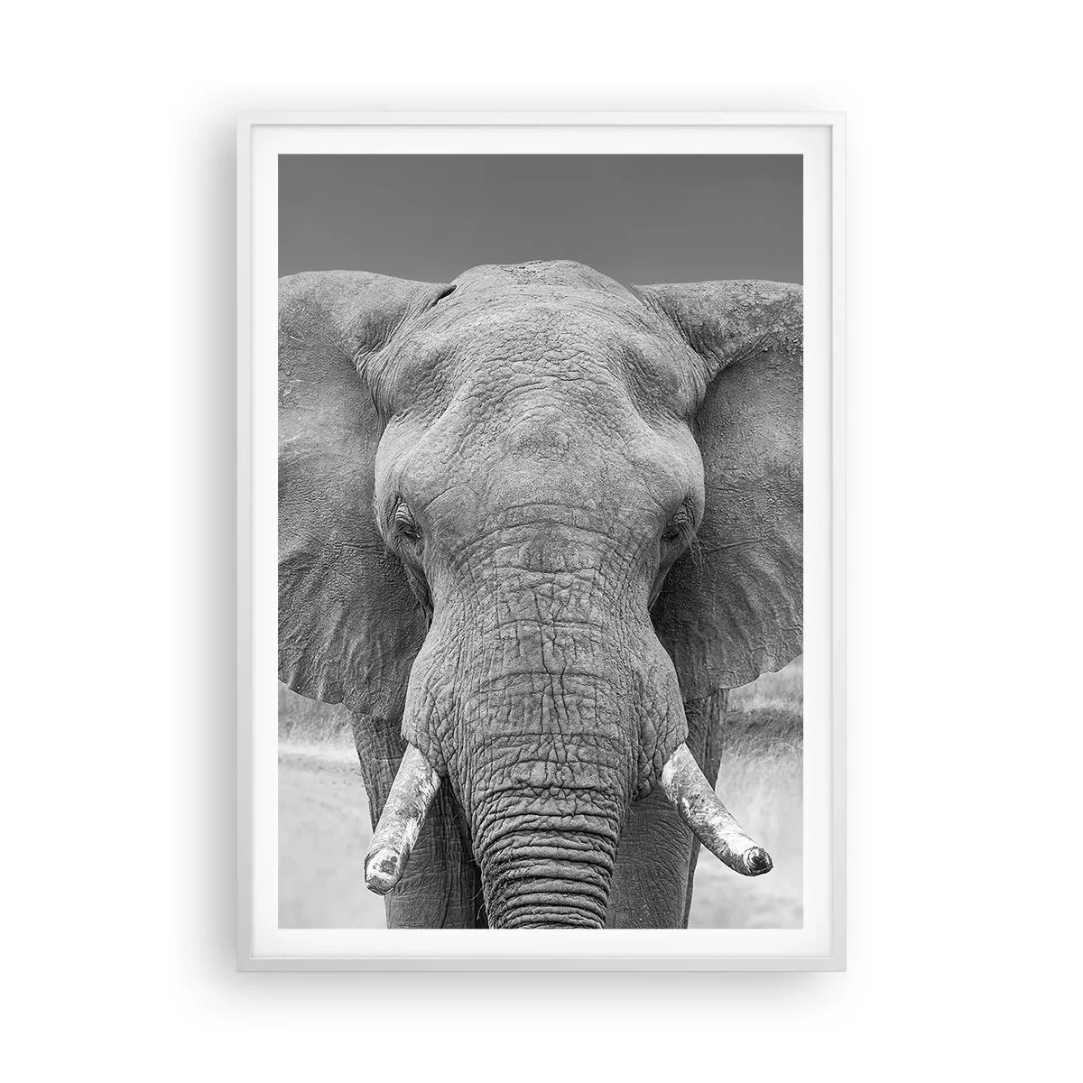 Poster în ramă albă - Bun venit în lumea mea - 70x100 cm