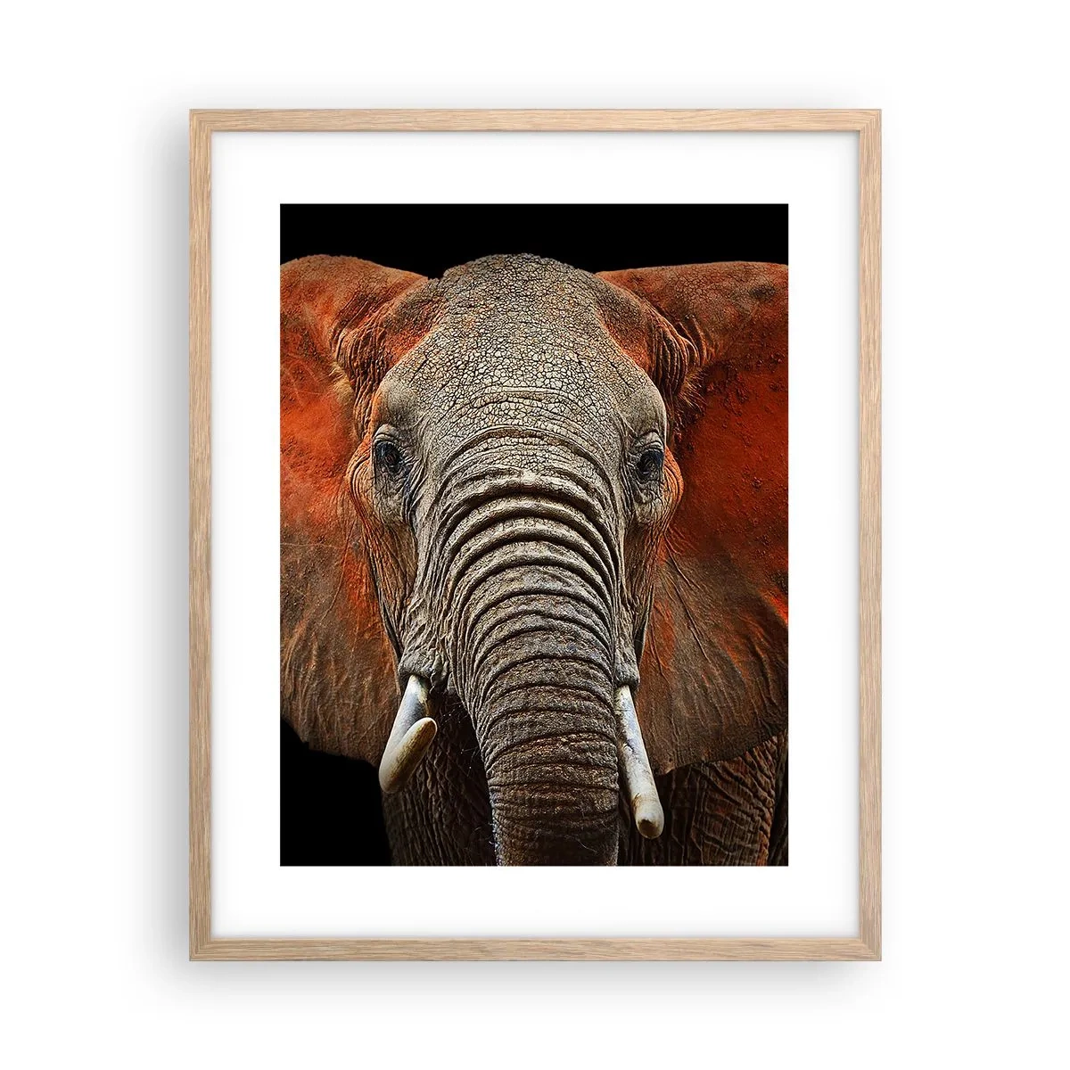 Poster în ramă de stejar deschis - Sunt sălbatic, și tu? - 40x50 cm