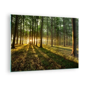 Tablou pe sticlă - O poiană de pădure luminată de razele soarelui care răsare - 70x50cm - Fotografia tuturor primăverilor - Decorațiune modernă pentru perete pentru living și dormitor ARTTOR