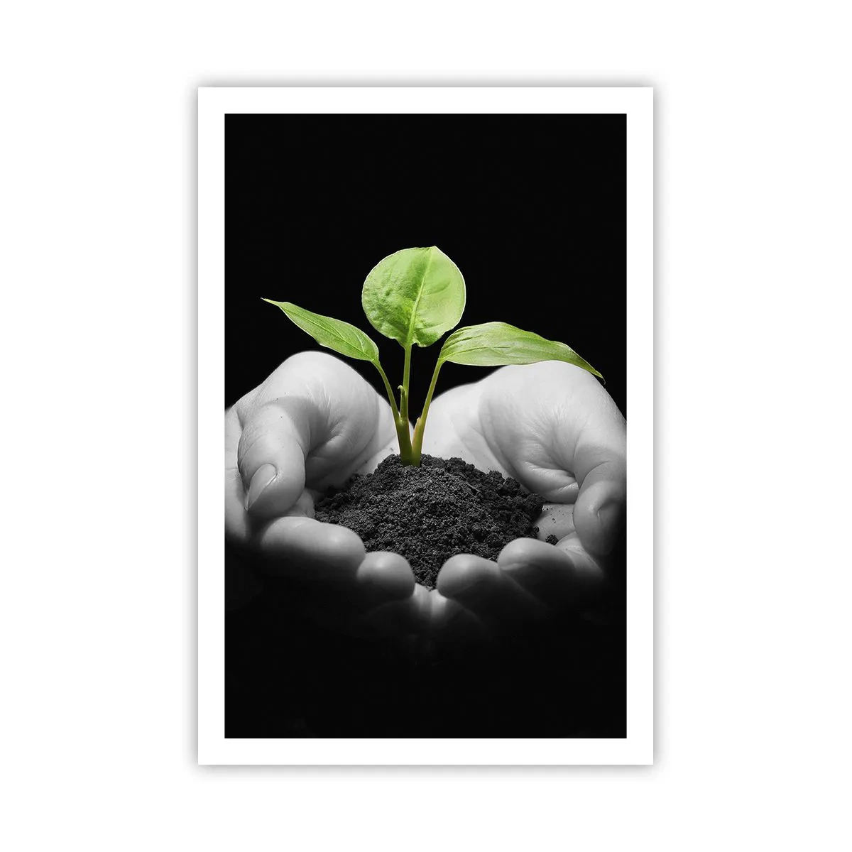 Poster - Iubesc natura, o protejez - 61x91 cm