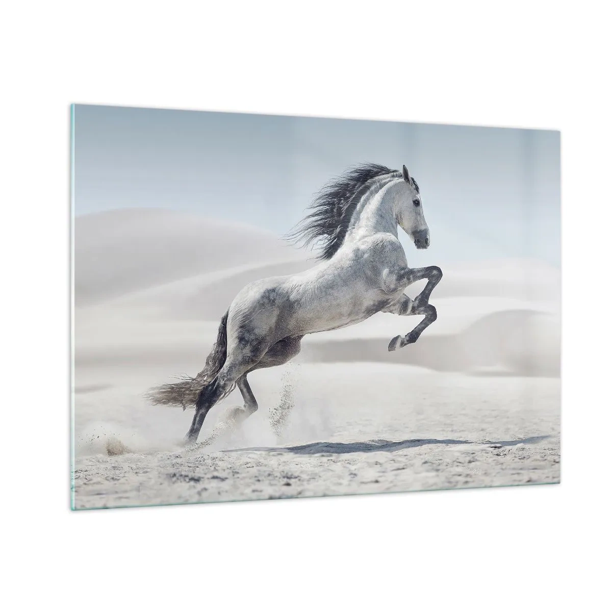 Tablou pe sticlă - Prinț arab - 100x70 cm