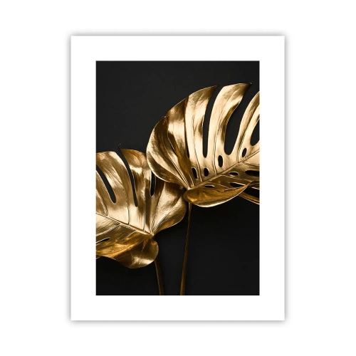 Poster - Comorile naturii - 30x40 cm