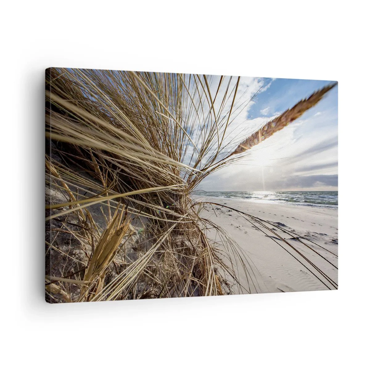 Tablou pe pânză Canvas - O plajă cu iarbă uscată pe dune și vedere la mare - 70x50cm - O întâlnire a elementelor - Decorațiune modernă pentru perete pentru living și dormitor ARTTOR