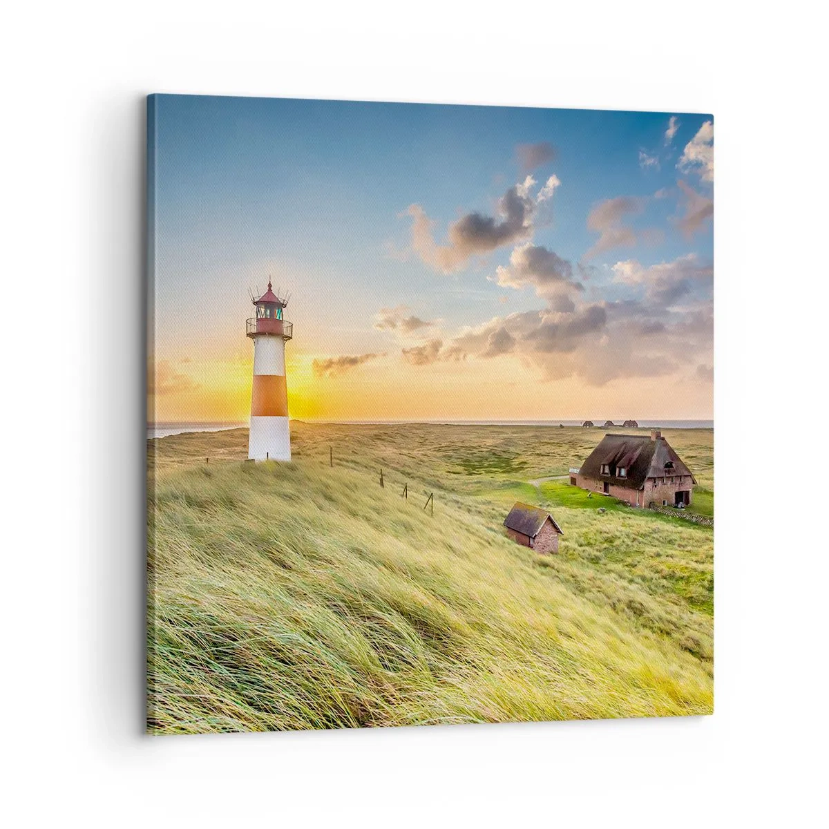 Tablou pe pânză - Între valuri - 60x60 cm