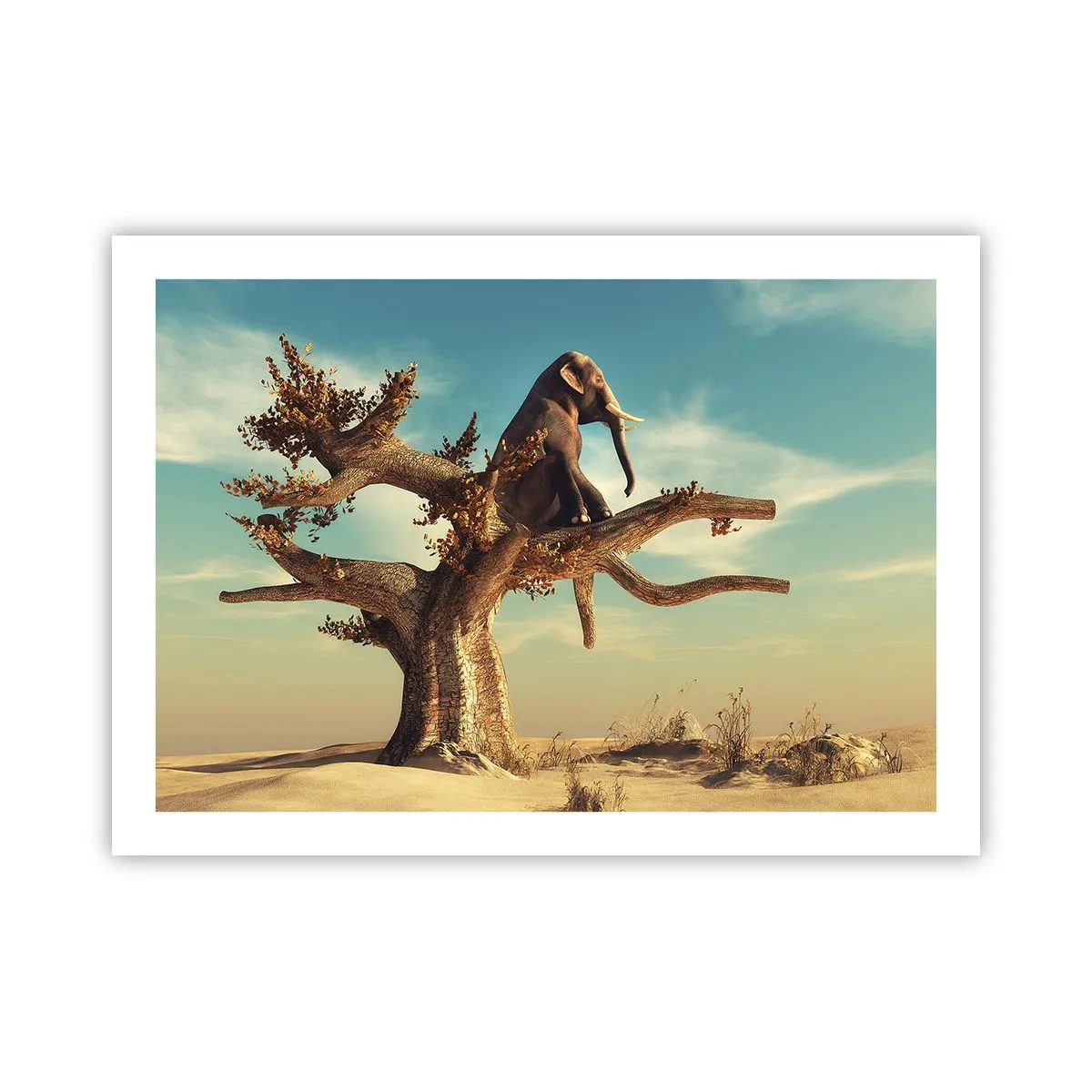 Poster - Un nou punct de vedere - 70x50 cm