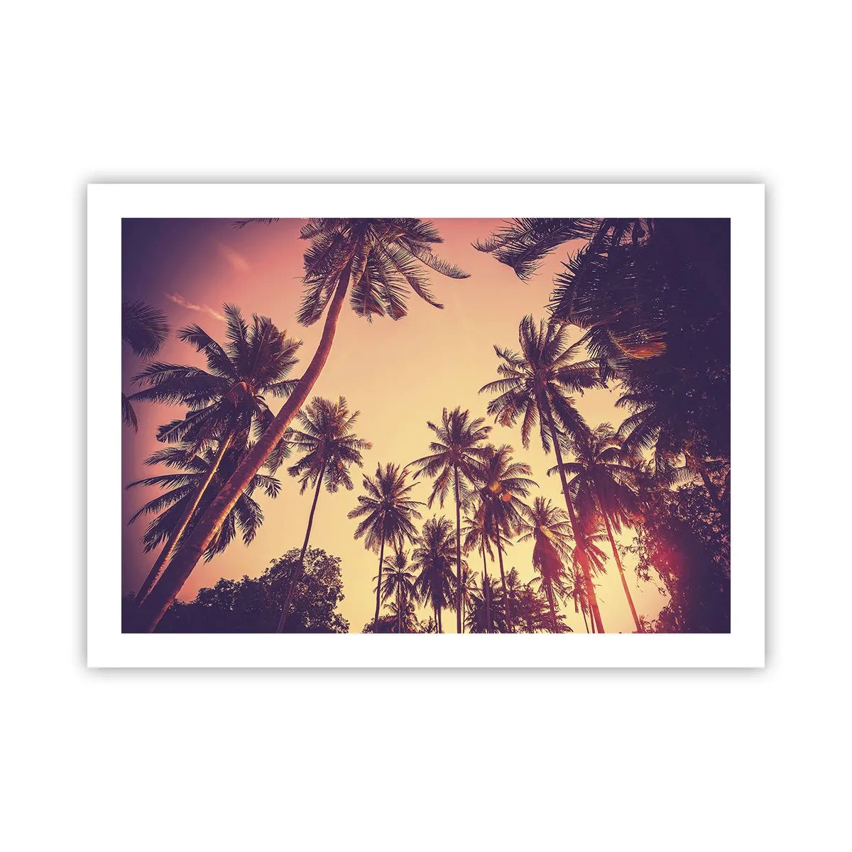 Poster - Variație tropicală - 70x50 cm