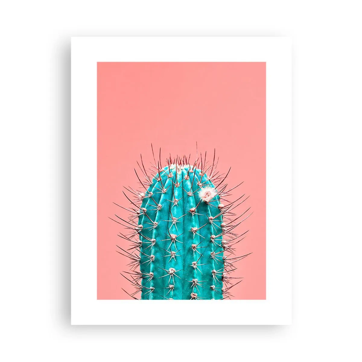 Poster - Doar privește - 30x40 cm