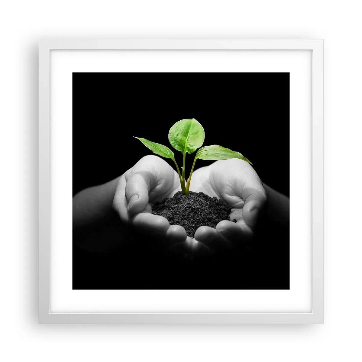 Poster în ramă albă - Iubesc natura, o protejez - 40x40 cm