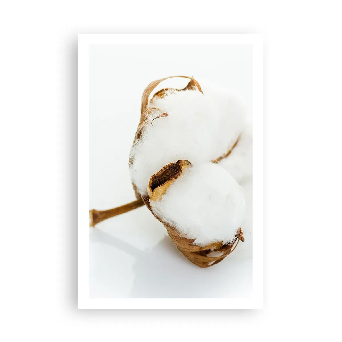 Poster - Moale prin natură - 61x91 cm