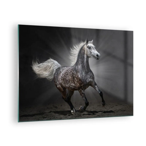Tablou pe sticlă - Un cal în galop pe un fundal întunecat, cu efect de iluminare. - 70x50cm - Griul elefantin este frumos - Decorațiune modernă pentru perete pentru living și dormitor ARTTOR