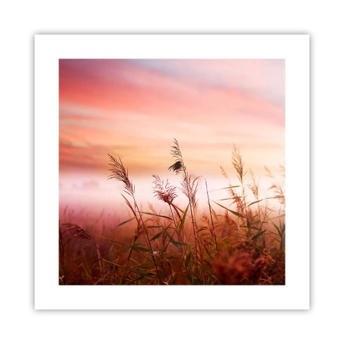 Poster - Zmeuri, suflante, vânt - 40x40 cm