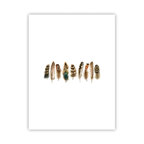 Poster - Variație cu pene - 30x40 cm