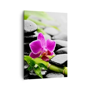 Tablou pe pânză - Într-un echilibru pașnic - 50x70 cm