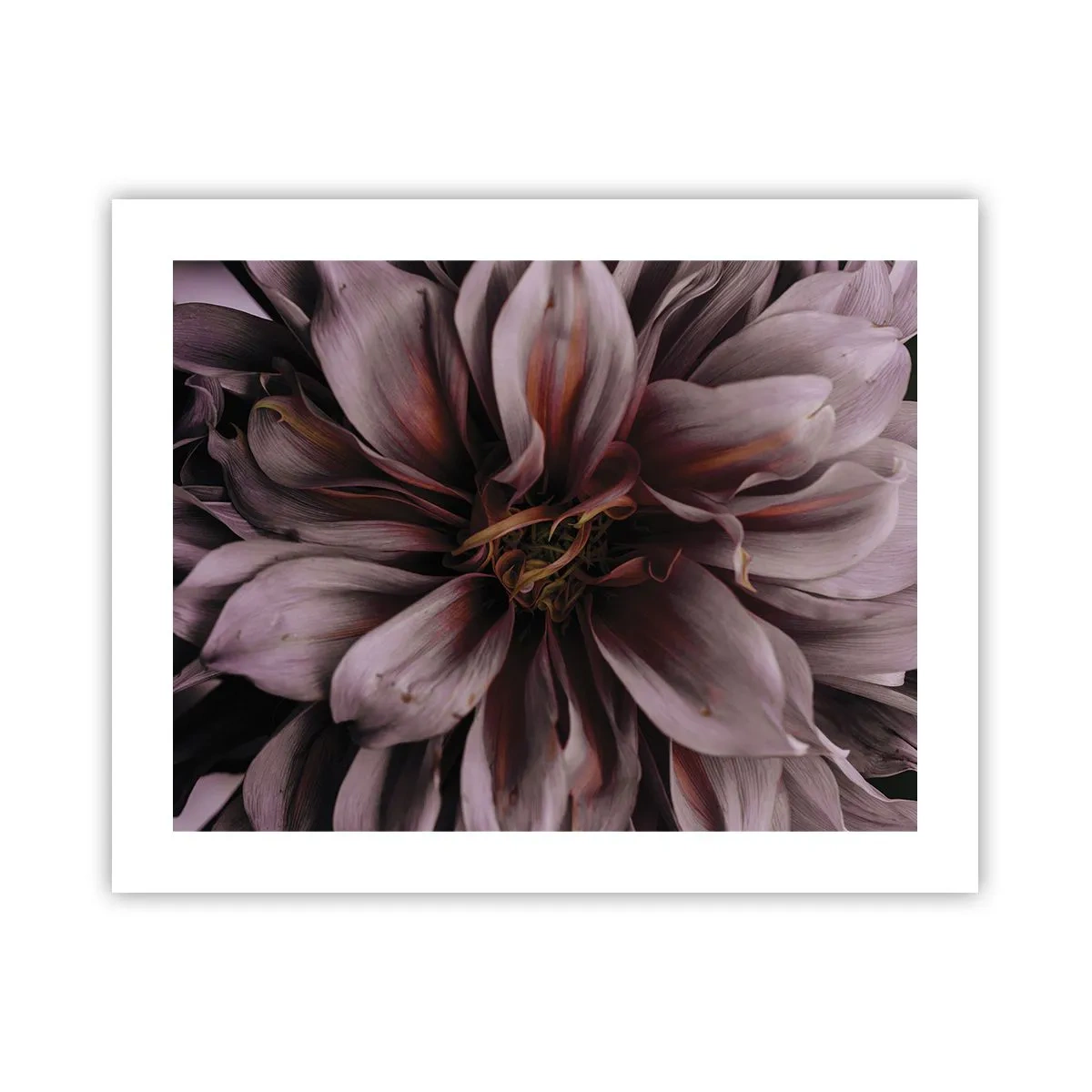 Poster - Inimă florală - 50x40 cm