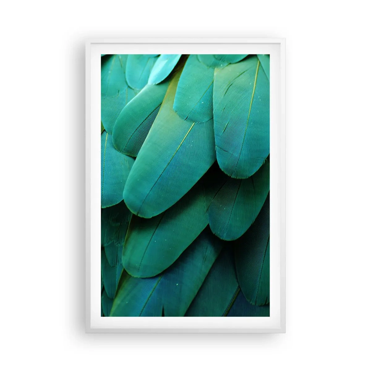 Poster în ramă albă - Precizia naturii papagalicești - 61x91 cm
