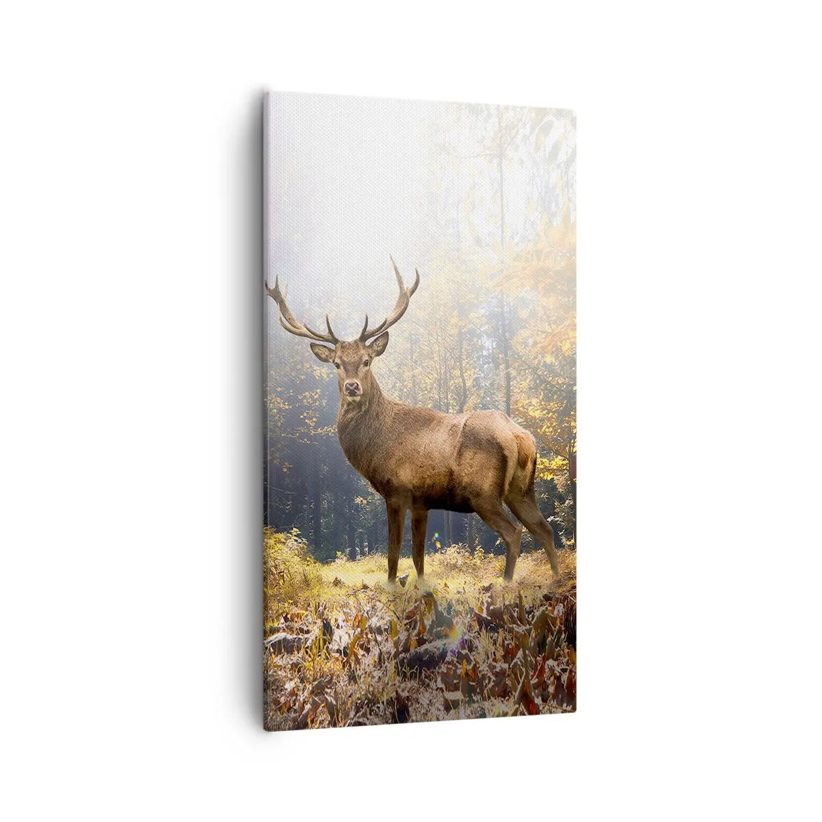 Tablou pe pânză - Măreție calmă - 55x100 cm