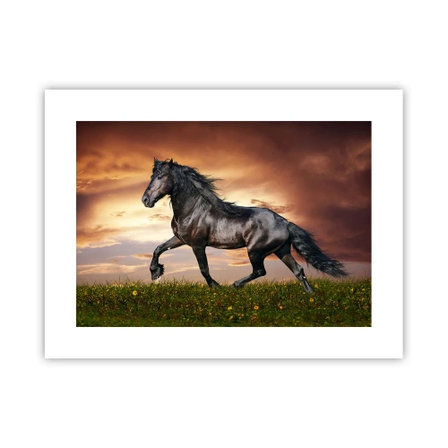 Poster - Prințul negru - 40x30 cm