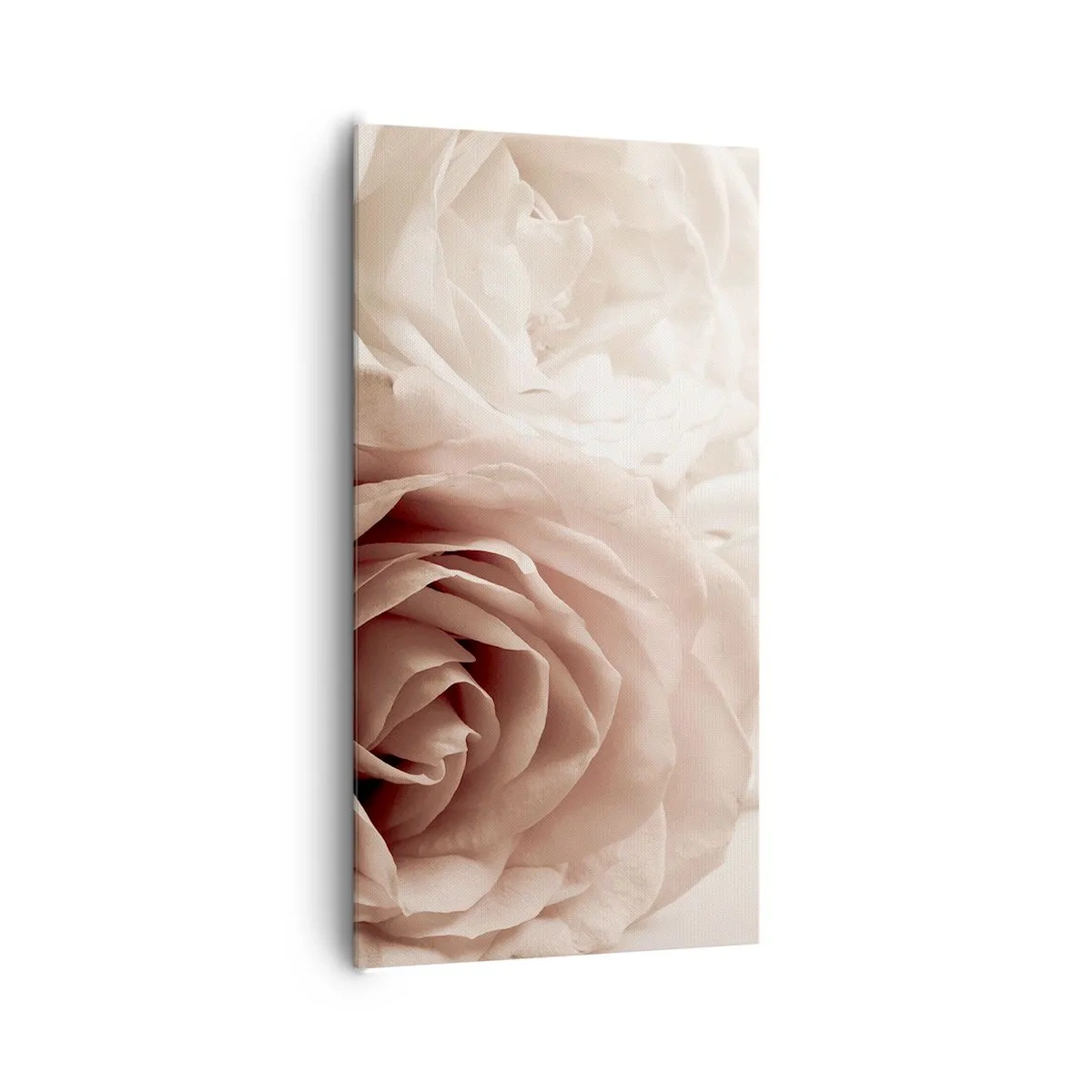 Tablou pe pânză - În inima unui trandafir - 65x120 cm