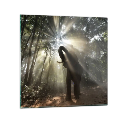 Tablou pe sticlă - Sub o stea norocoasă - 70x70 cm