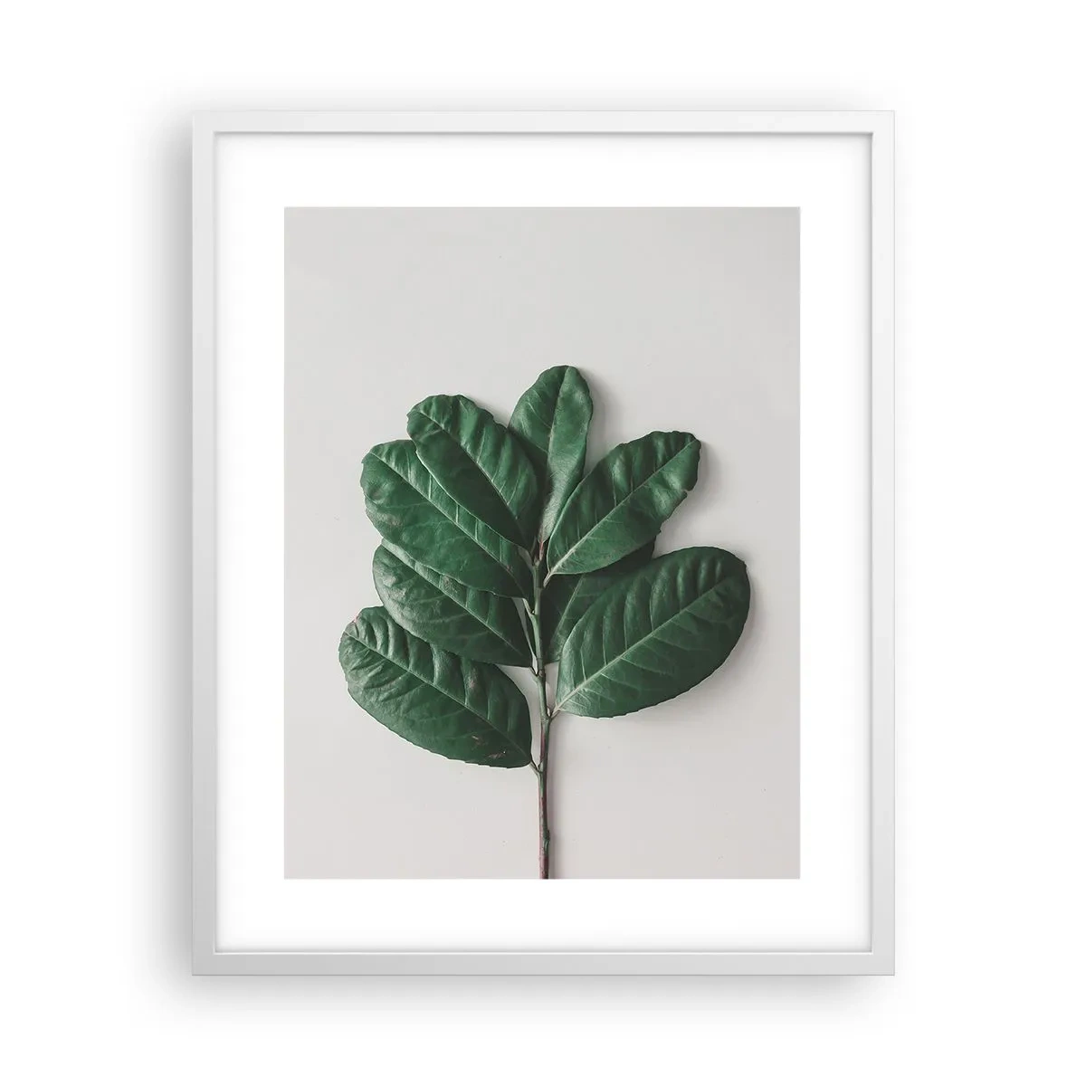 Poster în ramă albă - Desenul naturii însăși - 40x50 cm