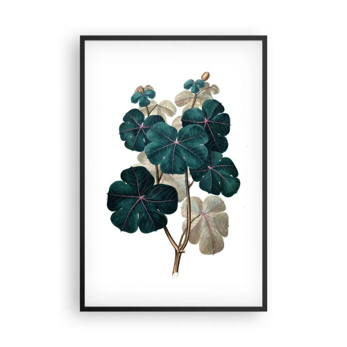Poster în ramă neagră - Dintr-un vechi ierbar - 61x91 cm