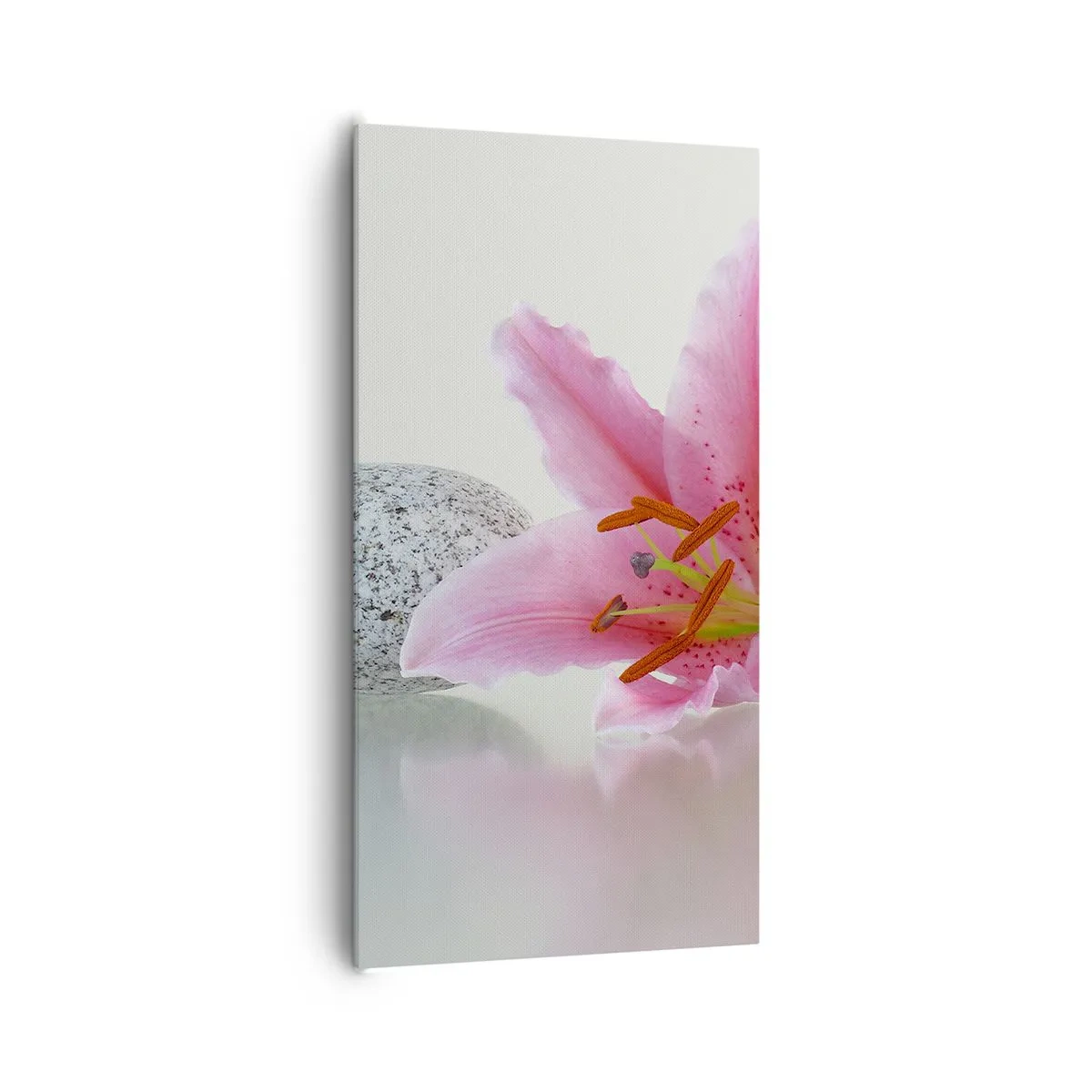 Tablou pe pânză - Studiu în roz, gri și alb - 65x120 cm