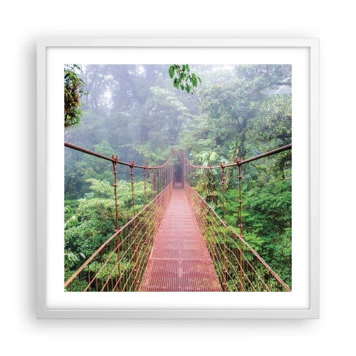 Poster în ramă albă - Suspendat deasupra coroanelor arborilor - 50x50 cm