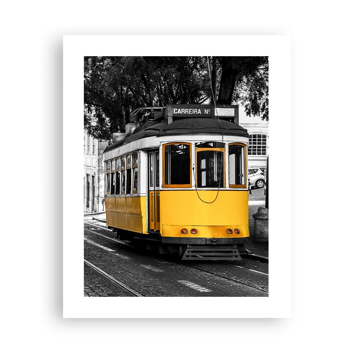 Poster - Sună fado în fundal - 40x50 cm