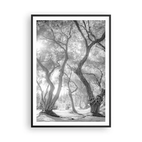Poster în ramă neagră - Într-o livadă de măslini - 70x100 cm