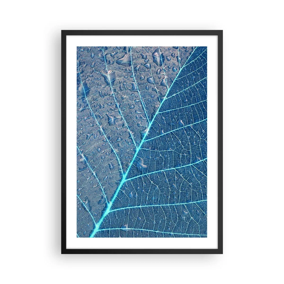 Poster în ramă neagră - Prim-plan al unei frunze în nuanțe de albastru - 50x70cm - Viața în albastru - Decorațiune modernă pentru perete pentru living și dormitor ARTTOR