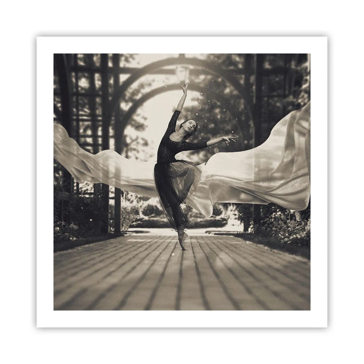 Poster - Dansul spiritului de grădină - 60x60 cm