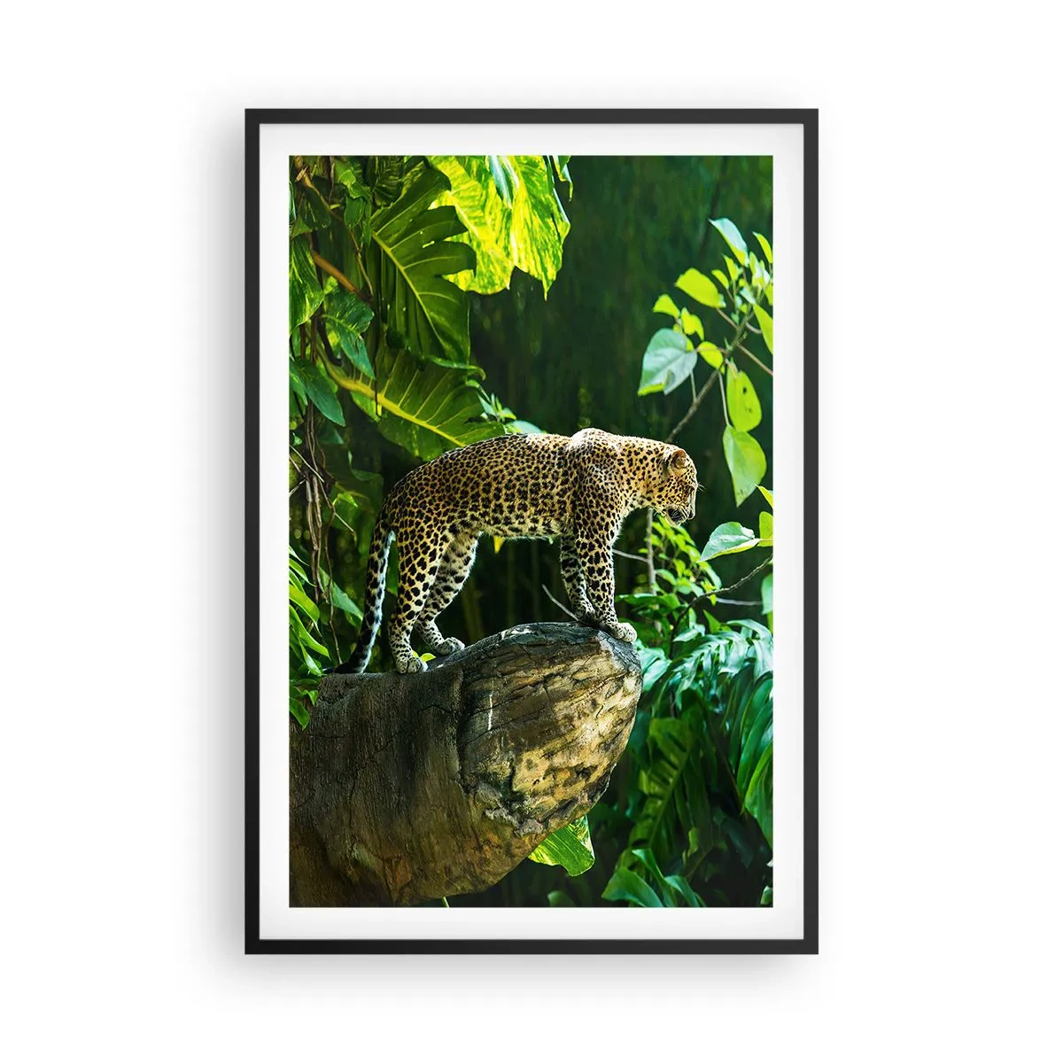 Poster în ramă neagră - La vânătoare? - 61x91 cm