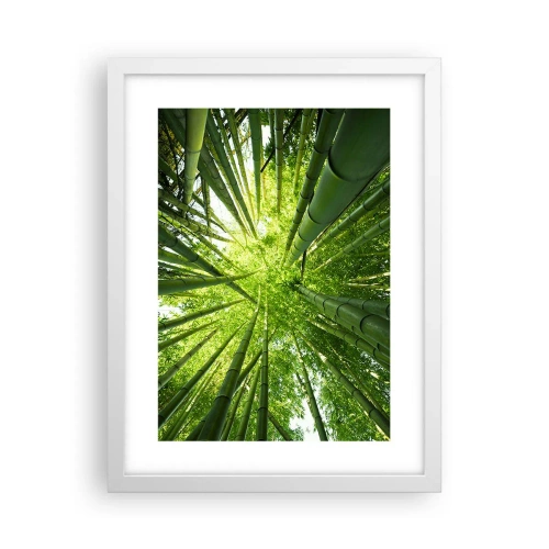 Poster în ramă albă - Într-o pădure de bambus - 30x40 cm