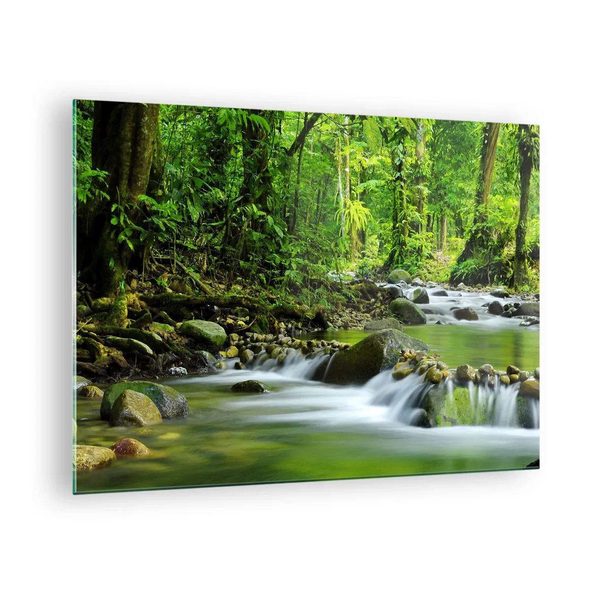 Tablou pe sticlă - Un pârâu de pădure înconjurat de vegetație luxuriantă - 70x50cm - Să înotăm într-o mare de verde - Decorațiune modernă pentru perete pentru living și dormitor ARTTOR