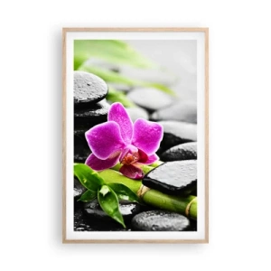 Poster în ramă de stejar deschis - Într-un echilibru pașnic - 61x91 cm