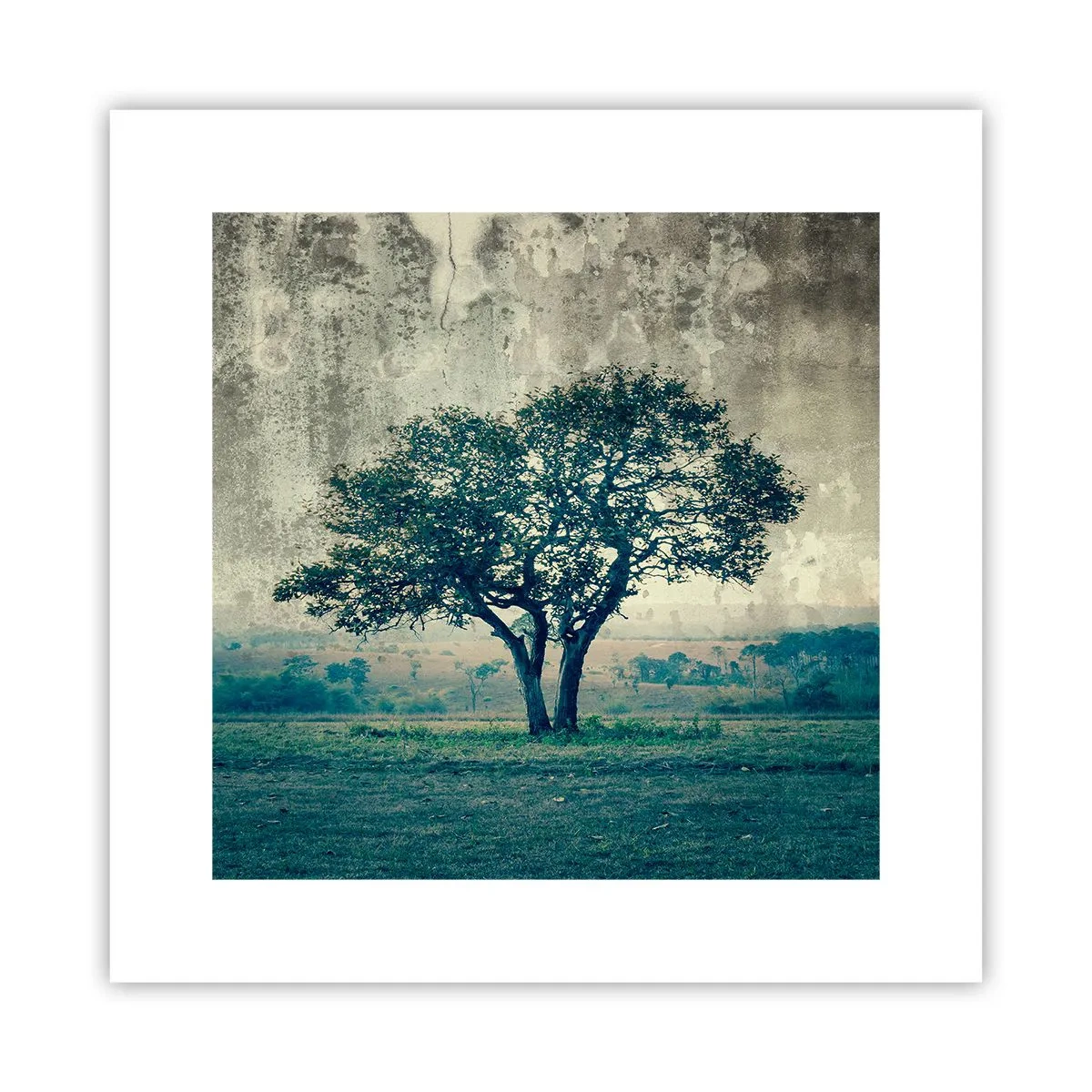 Poster - Un măr pe o pajiște albastră? - 30x30 cm