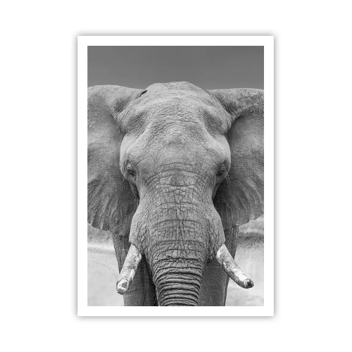 Poster - Bun venit în lumea mea - 70x100 cm