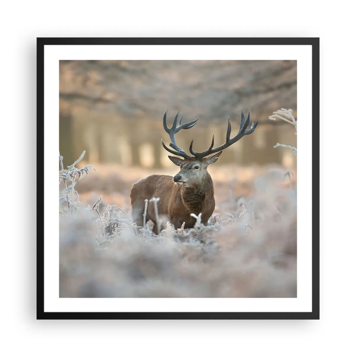 Poster în ramă neagră - O dimineață răcoroasă - 60x60 cm