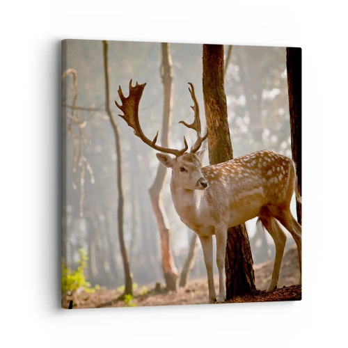 Tablou pe pânză - Lumina tinereții - 30x30 cm