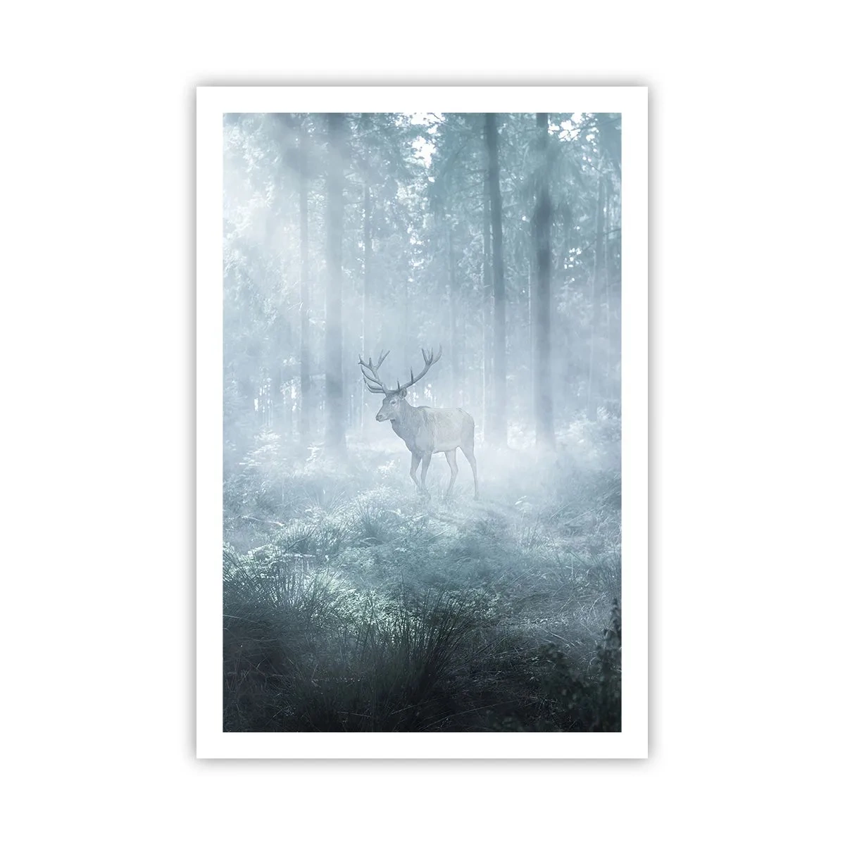 Poster - Plimbarea de dimineață prin regat - 61x91 cm