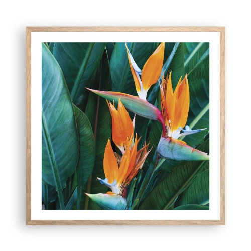 Poster în ramă de stejar deschis - Este o floare sau o pasăre? - 60x60 cm